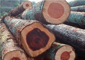 上海物流公司 上海物流公司