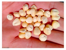 上海物流公司 上海物流公司