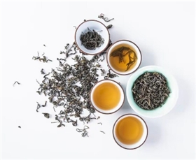 上海貨運物流公司