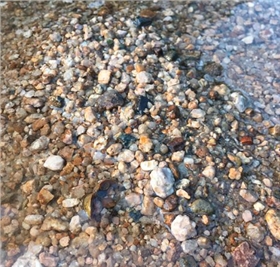 上海物流貨運公司