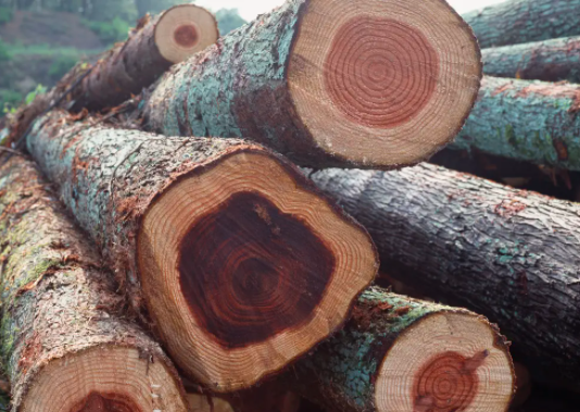 上海物流公司 上海物流公司