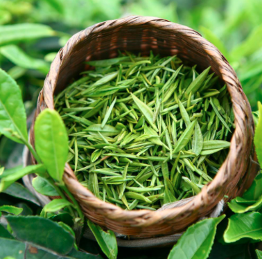 上海物流公司 上海物流公司