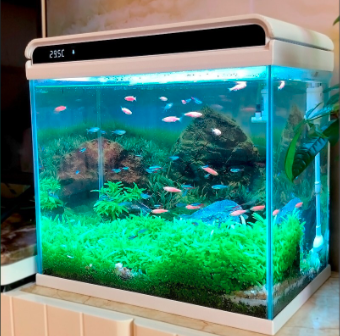 上海物流貨運公司 上海物流貨運公司